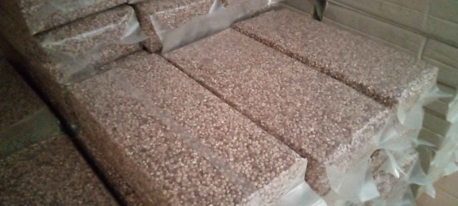 Sorgum, Alternatif Bahan Pangan